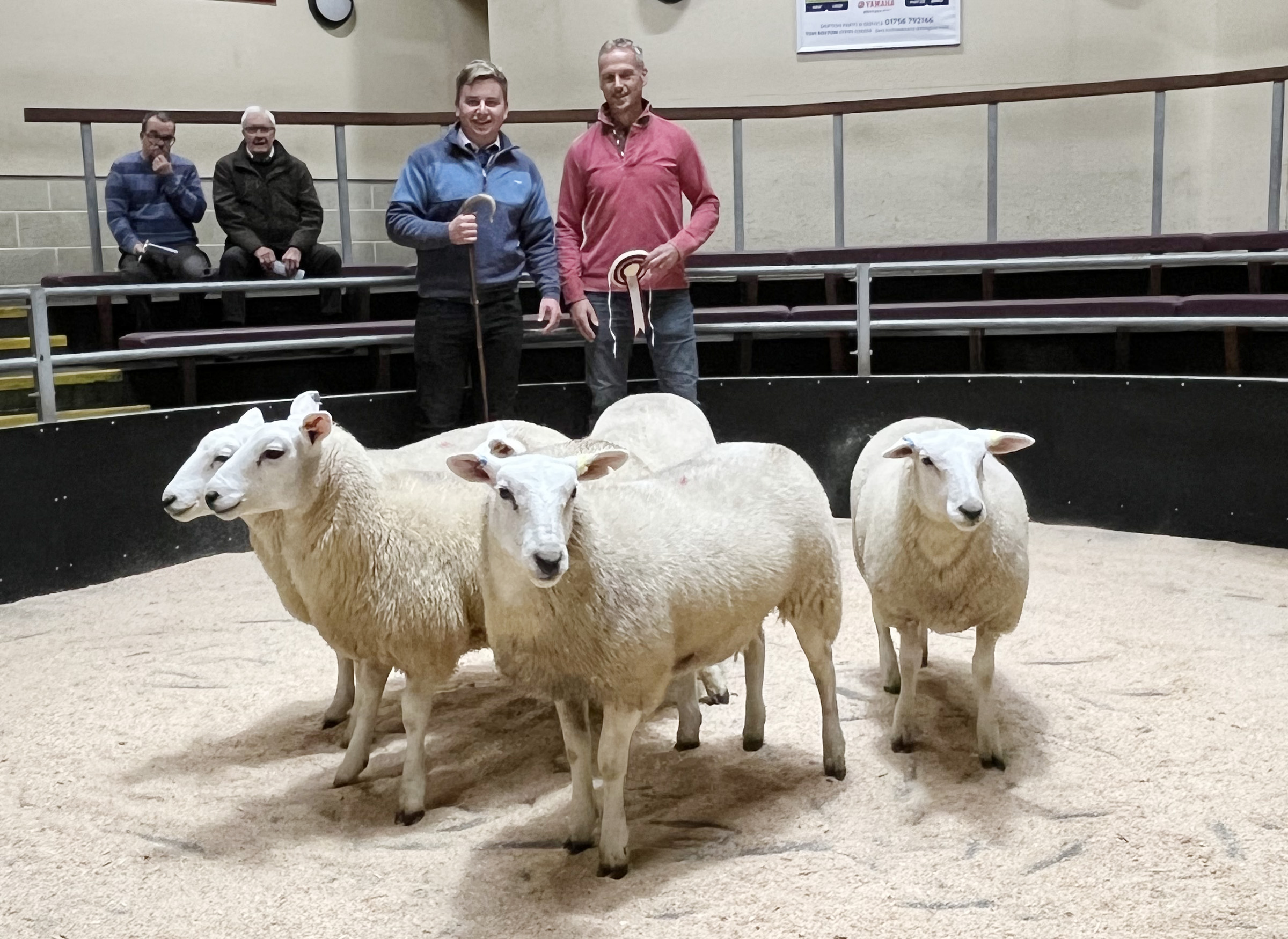 CCM Lleyns Show & Sale 28.09.23 Will Williams res champ ewe lambs pic 2.jpg