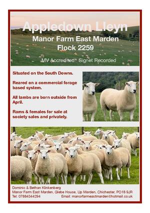 P124 - Manor Farm East Marden Flock 2259 - Page 19-page-001.jpg