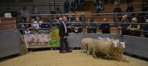 ROW 2021 - RHS Turner sells ewe lambs at £160
